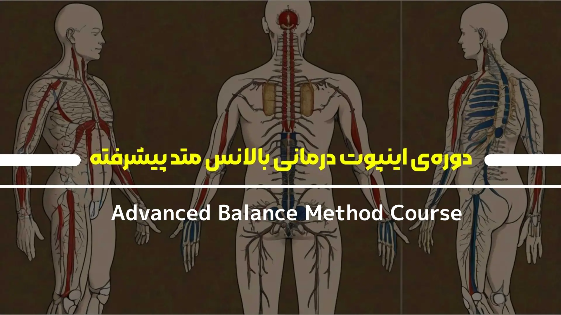 دوره‌ی اینپوت درمانی بالانس متد پیشرفته