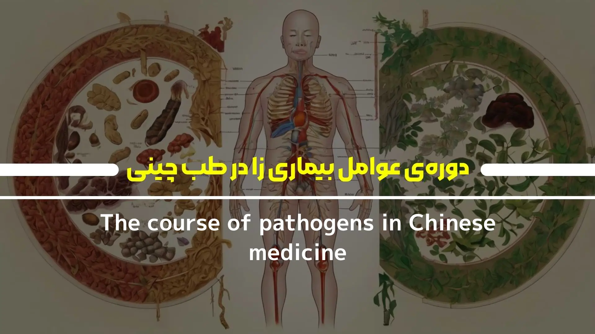 دوره‌ی عوامل بیماری زا در طب چینی