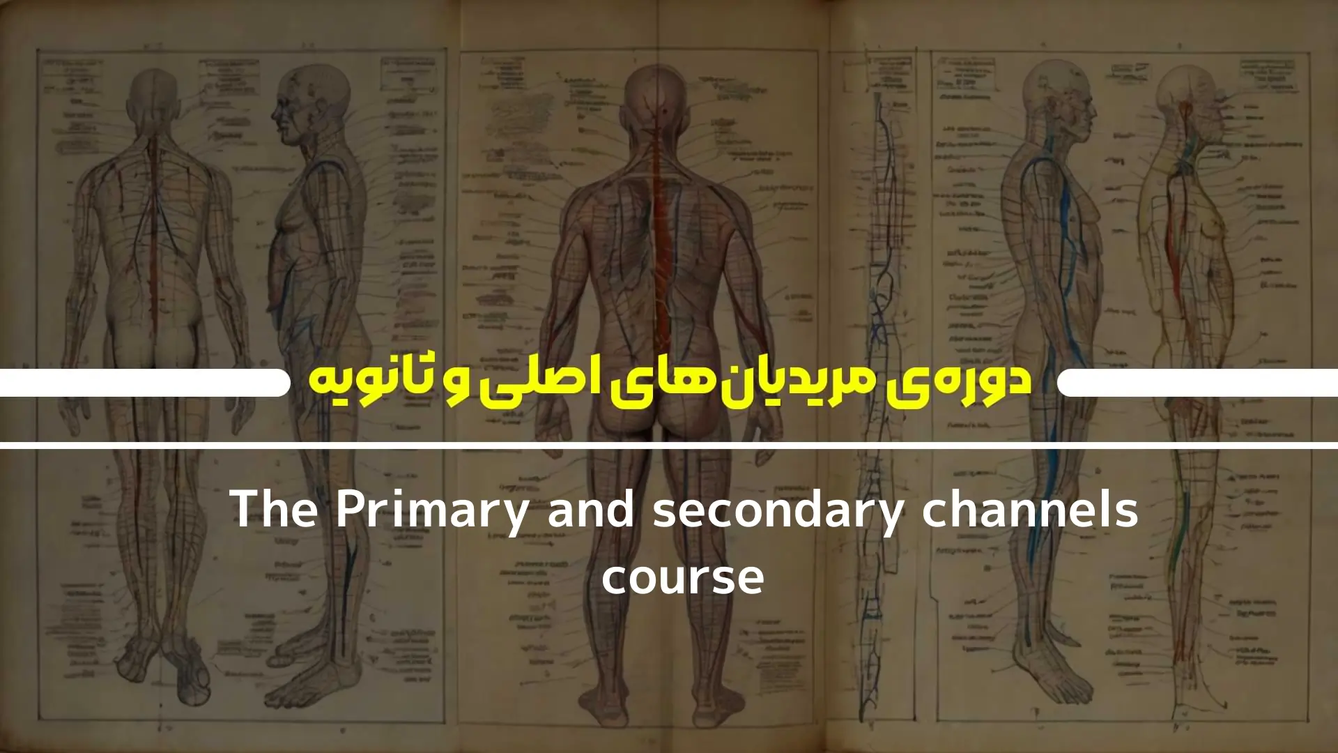 دوره‌ی مریدیان‌های اصلی و ثانویه